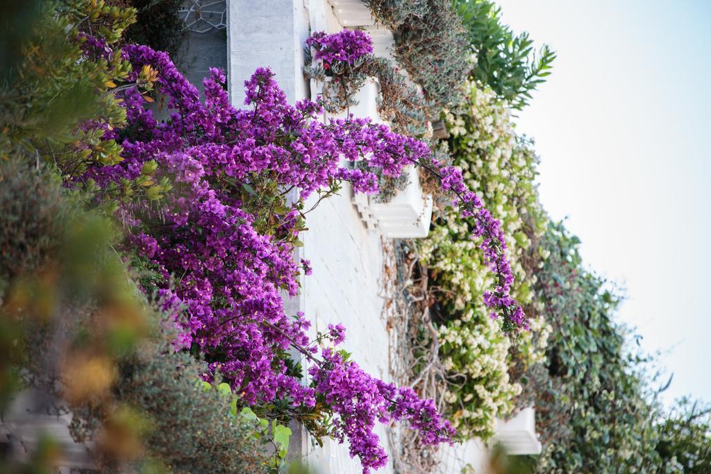 Holiday Lodge Al Porto Mattinata Luaran gambar